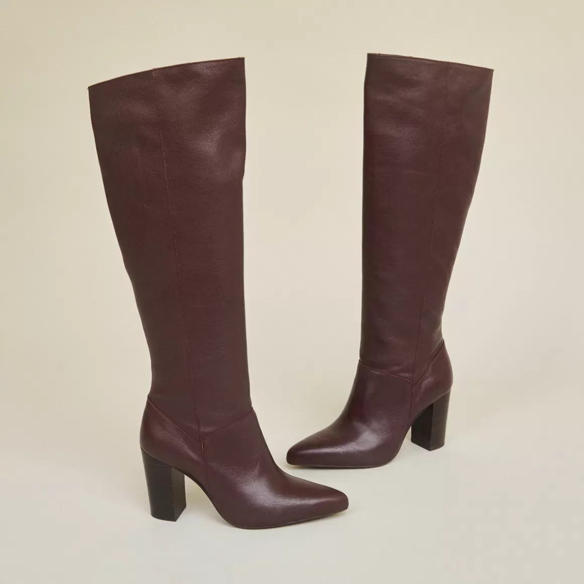 High boots with heels and pointed toes<Jonak New